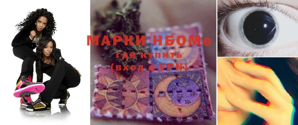 индика Алзамай