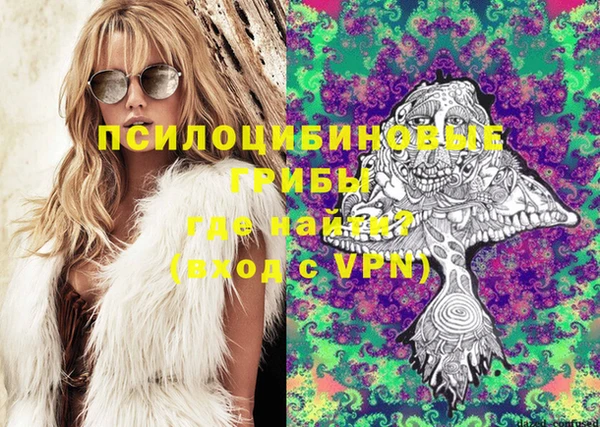 индика Алзамай