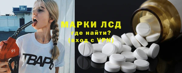 индика Алзамай