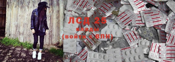индика Алзамай