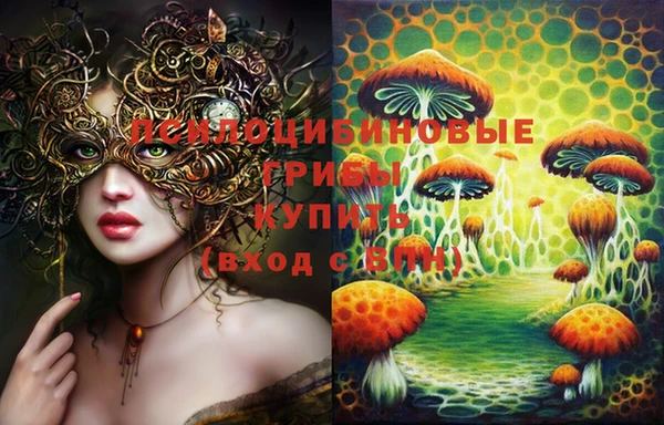 индика Алзамай