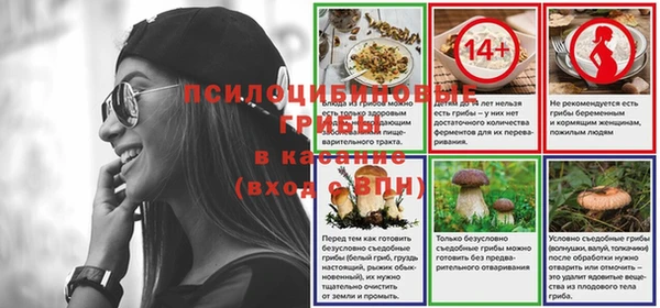 индика Алзамай