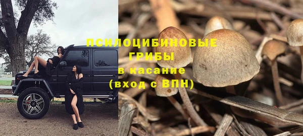 соль курить ск Алексеевка