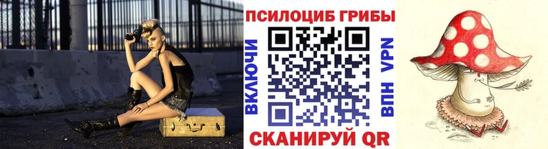 мега как зайти  Бокситогорск  Галлюциногенные грибы Cubensis 